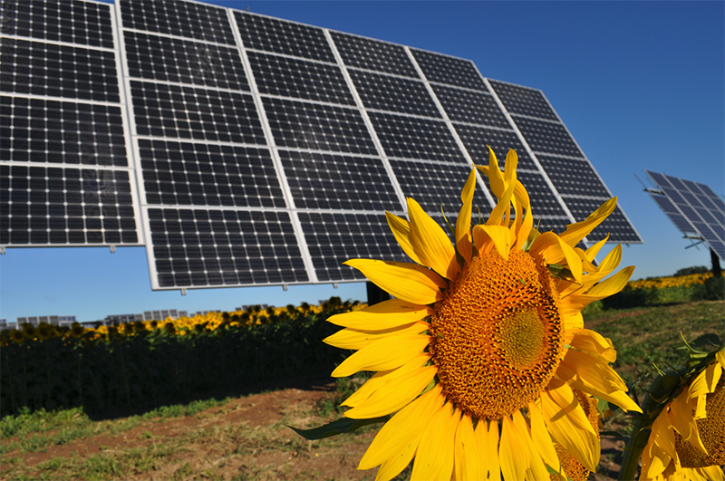 Solar panels